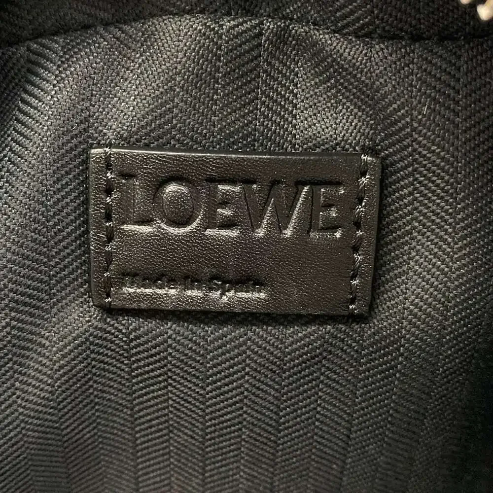 Loewe Camera Crossbody Bag Mini Handbag C565R41X01